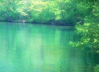 《MRI環境講座》第3回　成長機会としての環境問題