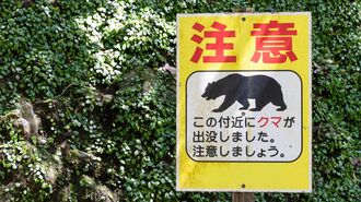 クマ出没を警告する看板