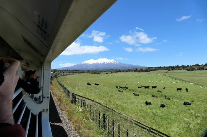 展望車からは雪山や美しい草原が堪能できる
