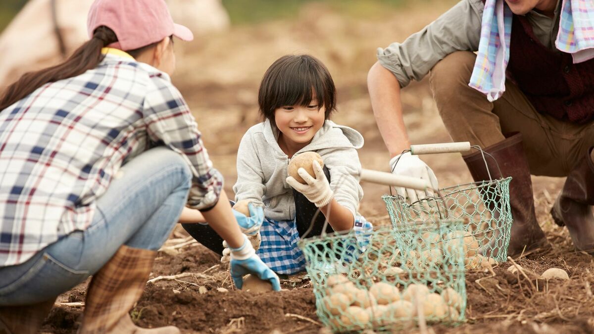 カレーの具を"知らない子"増加の背景にある懸念 心と体を使って経験できる場を作ることが重要 | リーダーシップ・教養・資格・スキル | 東洋経済オンライン