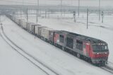 雪の中を走るDF200形牽引の貨物列車