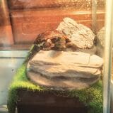 （写真提供：あめちさん）