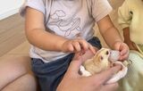 （写真提供：ひろさん）