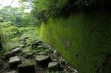 奥摩耶遊園地　マウントコースターの軌道跡