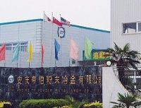 中国で怒濤の攻勢、TPR(帝国ピストンリング)が開けた風穴