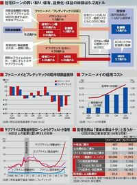泥沼の米金融危機、血税投入でも不透明な米住宅公社と大手銀行の命運