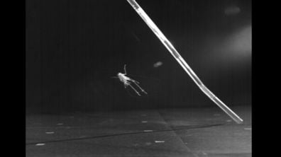 Analysis of Crickets' Jumps Could Lead to New, Tiny Robots
