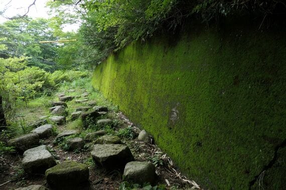 奥摩耶遊園地 マウントコスター軌道跡