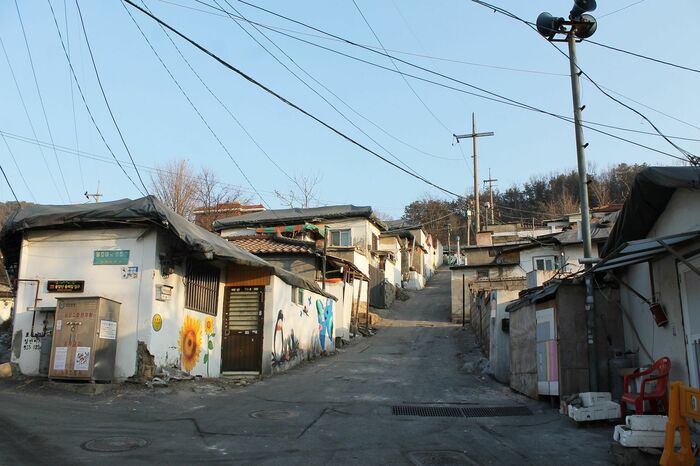 ペクサマウルの様子