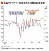 景気ウオッチャー調査と実質消費支出は乖離