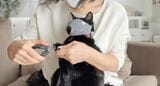 もふもふマスクを着けて爪を切っている（写真：クロス・クローバー・ジャパン）
