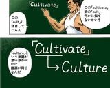 漫画『ドラゴン桜』