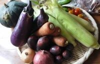 オーガニックを日常に！｢my農家制度｣の挑戦 安心･安全が｢高級品｣の時代は終わった