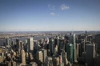 仰天！コヨーテがマンハッタンに出現した ヘリを投入して高級住宅街で捕獲作戦