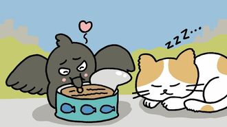 カラス　猫缶　地域猫