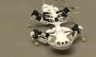 Robot Salamander Helping Scientists Unlock Spinal Secrets