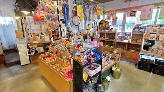 おもちゃと駄菓子のある店内
