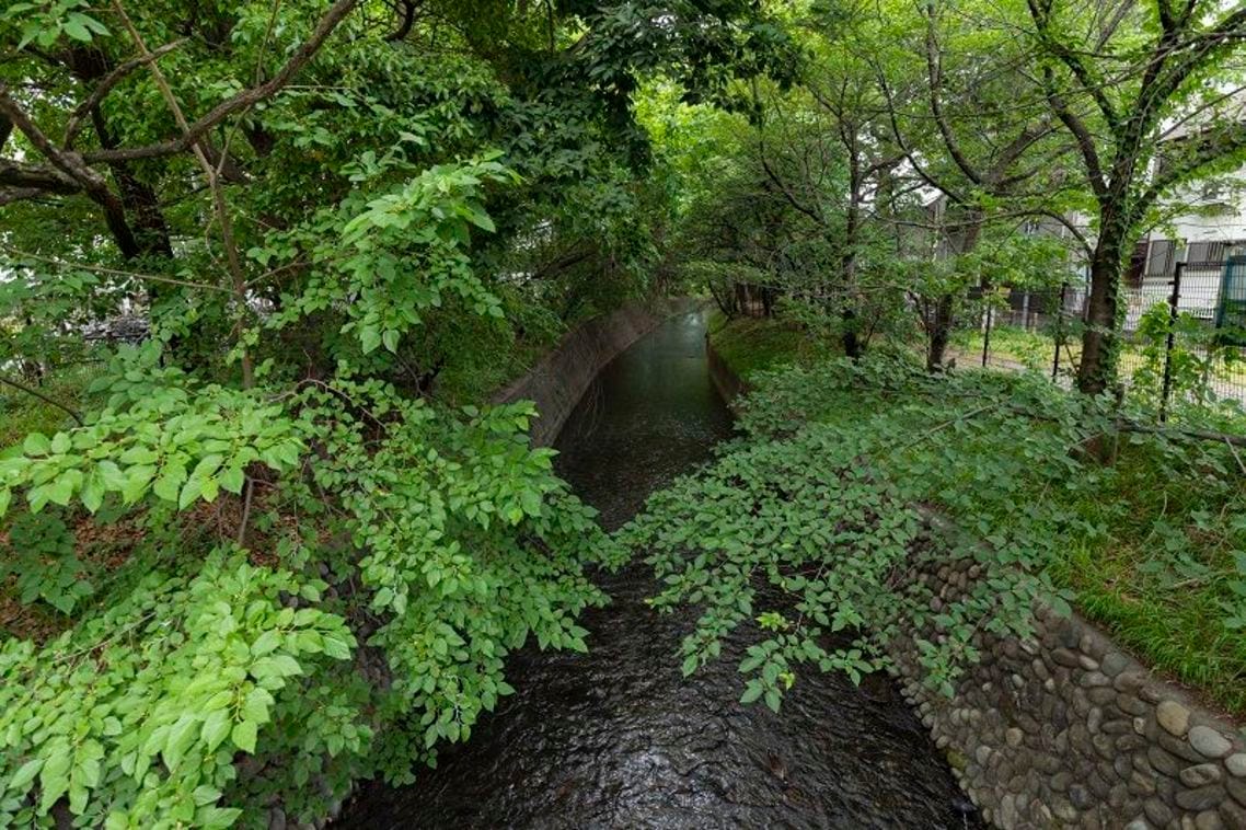 拝島線の沿線には緑豊かな玉川上水が流れている