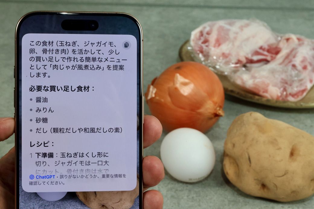 食材を撮影して『この食材でできる料理の簡単なメニューのレシピと、買い足さなければならない食材のリストを作って』とオーダーした。醤油、みりん、砂糖、だしを買うことで『肉じゃが風煮込み』ができると教えてくれた。これは本当に助かる使い方（写真：筆者撮影）