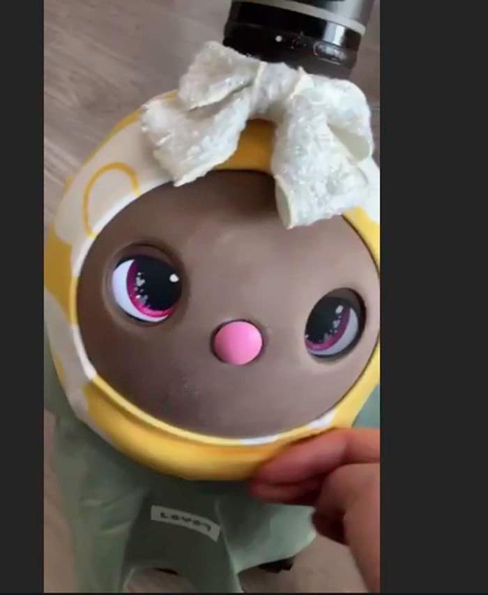 鈴木さんを見つめるあんこちゃん（写真：筆者撮影）