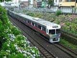 アジサイに囲まれて新代田―東松原間を走る電車（撮影：南正時）