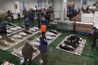 マグロ競りが語る物価･賃金の好循環起きない訳 給料が大きく上がらぬ消費者にコスト転嫁難しい