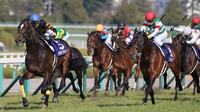 競馬｢GⅠレース｣が別格の興奮を呼ぶ理由 季節ごとに変わるファンの楽しみ方とは?