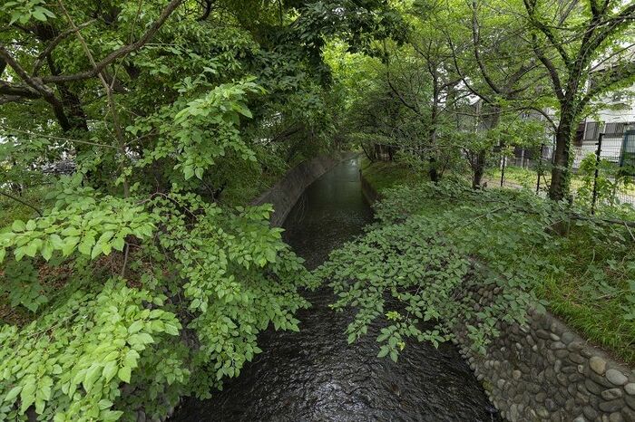 拝島線の沿線には緑豊かな玉川上水が流れている