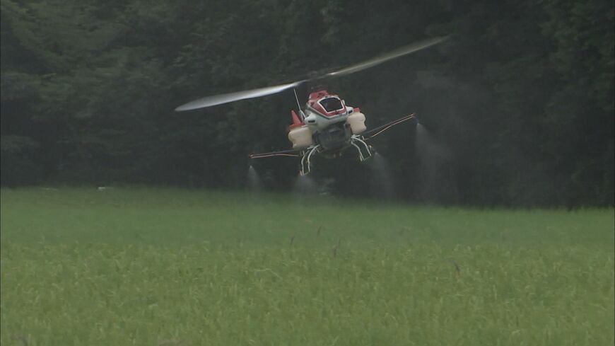 ネオニコ系農薬の田んぼへの散布。ドローンを使って行われることも多い（写真：川上監督提供）