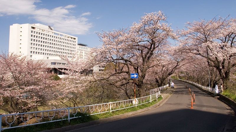 東京化する 千葉大学よ それでいいのか 競馬好きエコノミストの市場深読み劇場 東洋経済オンライン 社会をよくする経済ニュース