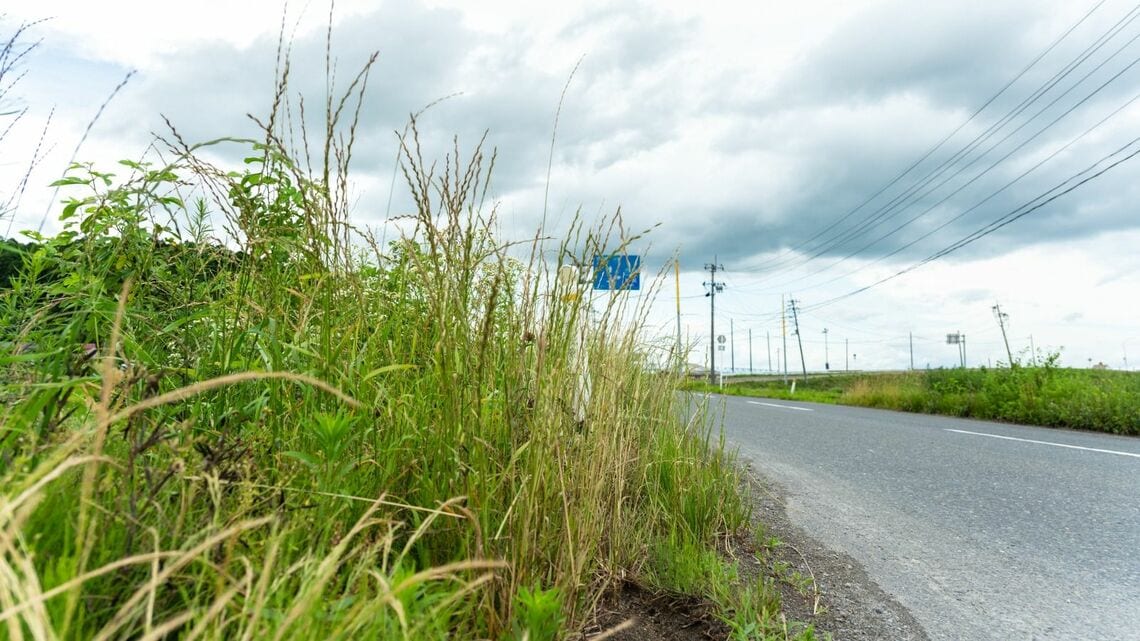 道路脇