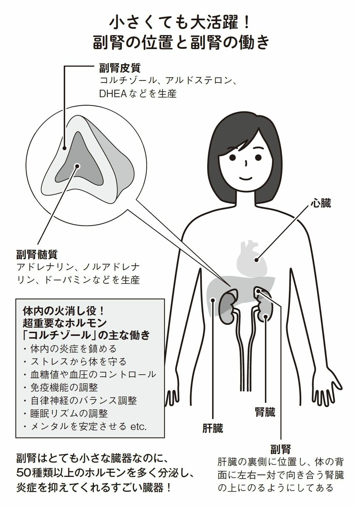 （出所：『小麦抜きのすすめ 3週間の脱小麦であなたの体に奇跡が起きる！』より）