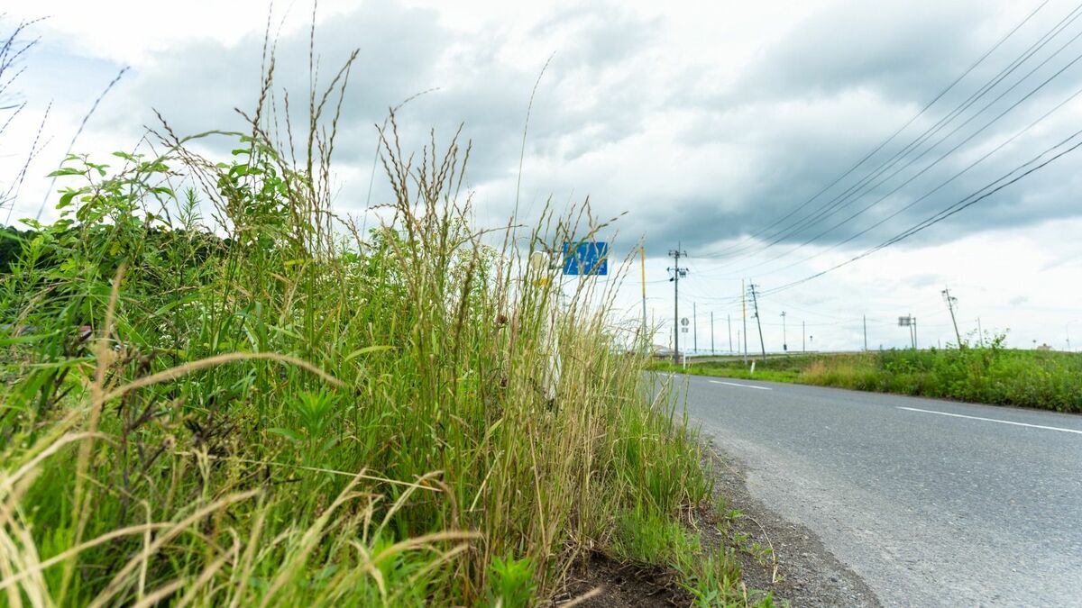 島根で発見｢記憶喪失男性｣への反応に欠けた視点 | テレビ | 東洋経済オンライン