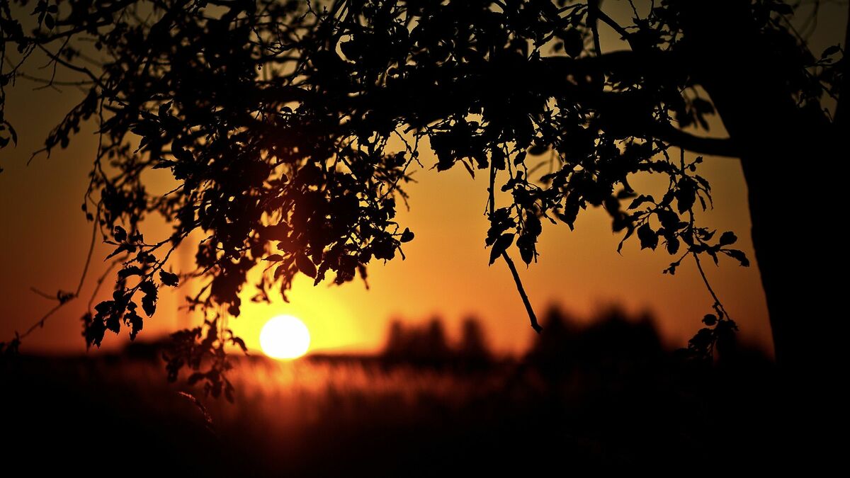 現代も古代も同じ。祖先より｢進化した｣は錯覚 | リーダーシップ・教養・資格・スキル | 東洋経済オンライン