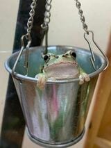 （写真提供：ぴよさん）