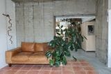 イシバシショウコさんの部屋