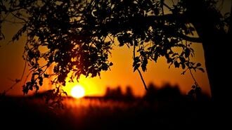 現代も古代も同じ。祖先より｢進化した｣は錯覚