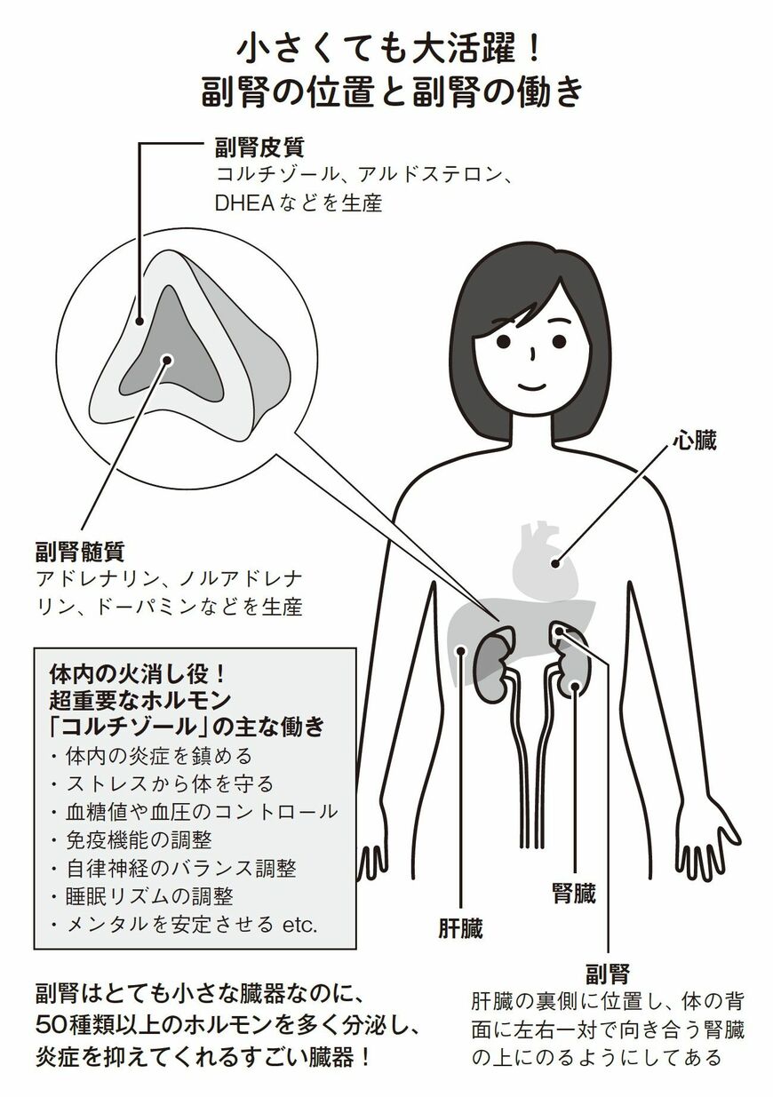 （出所：『小麦抜きのすすめ 3週間の脱小麦であなたの体に奇跡が起きる！』より）