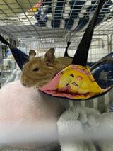 （写真：みきさん）