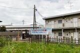 大谷向駅前にはタチアオイを植えた一角も。タチアオイは徳川の葵のご紋にちなむ（撮影：鼠入昌史）