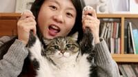 帰宅したら死んでいた猫､今も消えぬ喪失感。《韓国の人気エッセイが綴るペットとの暮らし》。いつかは別れの日が来るとわかっていてもーー
