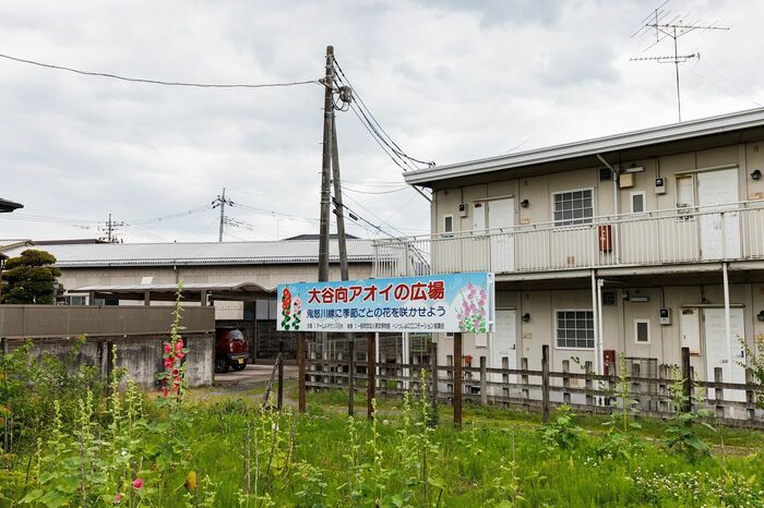 大谷向駅前にはタチアオイを植えた一角も。タチアオイは