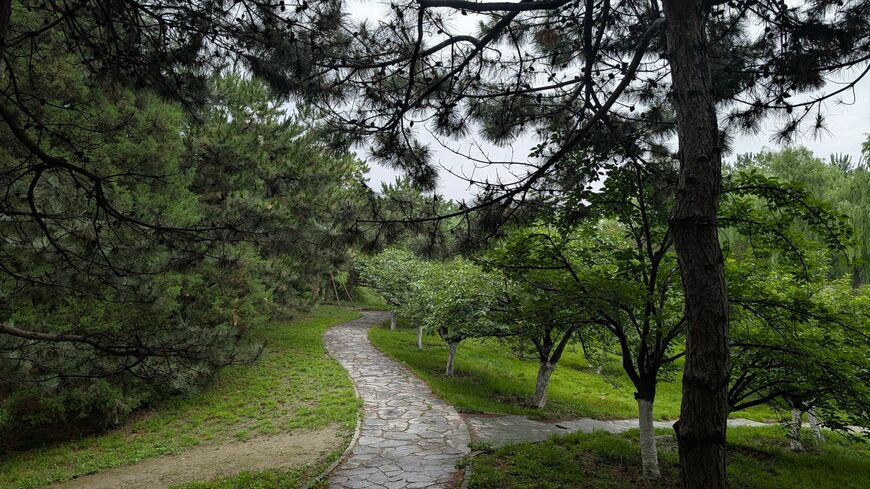 朝陽公園