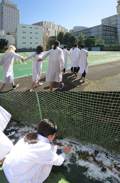 めずらしく都心でひょうが降ったため、授業の最初にみんなで観察した