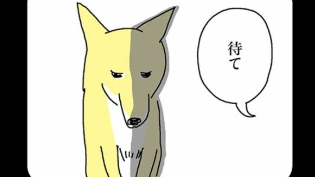 漫画『姉の犬から目が離せない』第3話公開、元保護犬の意外な反応