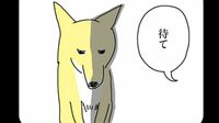 ｢もう2度と野良に戻せない！｣超豪華エサを目にした"元保護犬"の意外すぎる反応…漫画『姉の犬から目が離せない』第3話