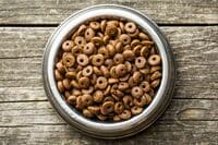 高齢化で気になってきたペットの食と健康 飼い主と末永く寄り添う｢長寿化｣ が進行