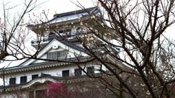 ｢大河ではあんなにお調子者なのに…｣ドラマではまだ描かれていない《豊臣秀吉》の"あまりに残虐すぎる"一面