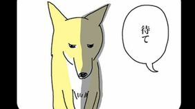 ｢もう2度と野良に戻せない！｣超豪華エサを目にした"元保護犬"の意外すぎる反応…漫画『姉の犬から目が離せない』第3話