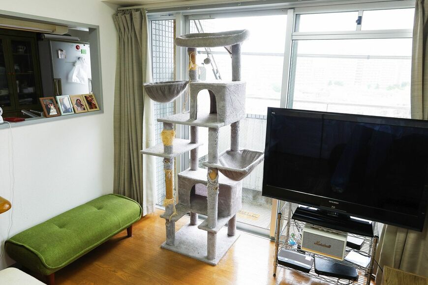 キャットタワー